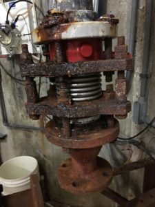 Corrosion of expansion joints